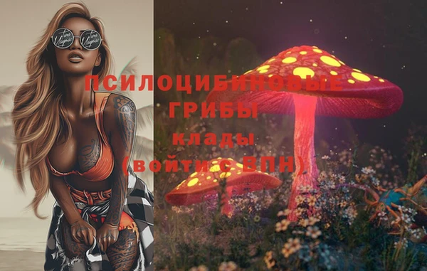 mdpv Алзамай