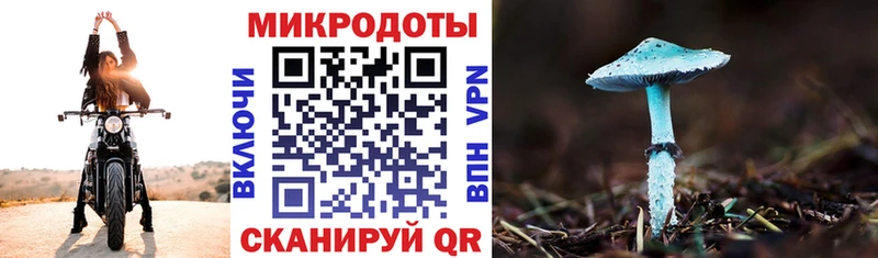 Галлюциногенные грибы мицелий  даркнет сайт  Цоци-Юрт 